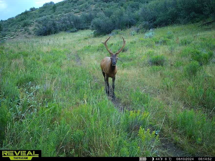 Cow Creek Ranch in Rifle, Colorado - photo 63