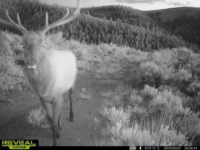 Cow Creek Ranch in Rifle, Colorado - photo 64