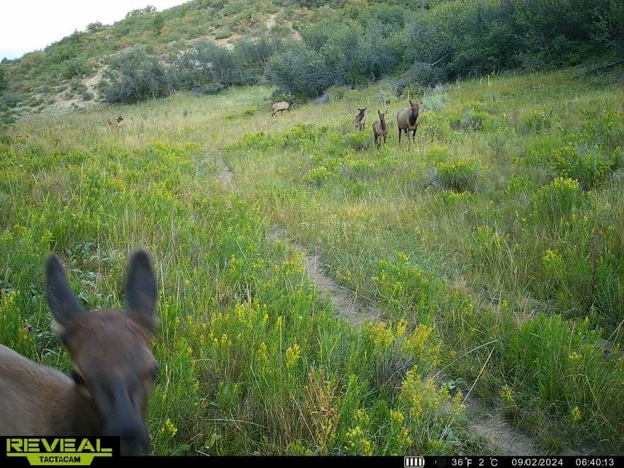 Cow Creek Ranch in Rifle, Colorado - photo 65