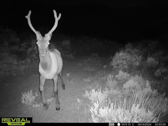 Cow Creek Ranch in Rifle, Colorado - photo 67