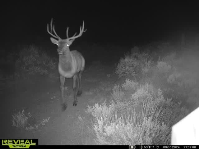Cow Creek Ranch in Rifle, Colorado - photo 68