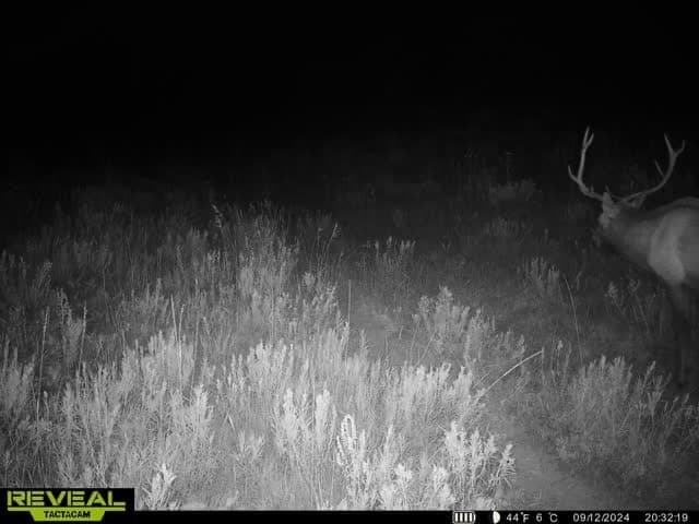 Cow Creek Ranch in Rifle, Colorado - photo 69