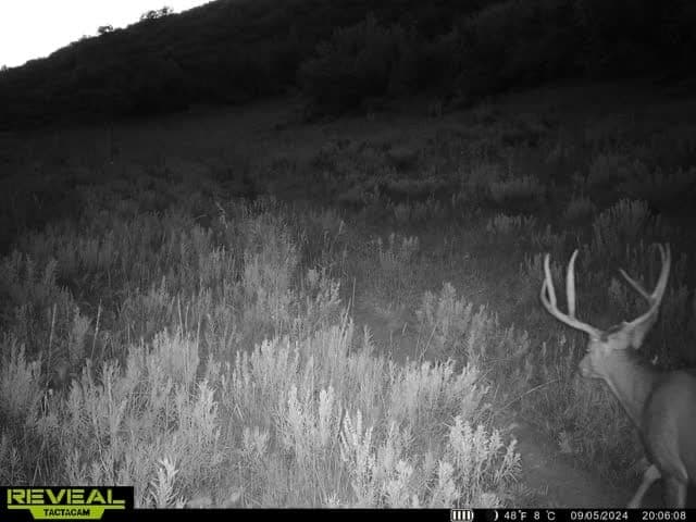 Cow Creek Ranch in Rifle, Colorado - photo 70