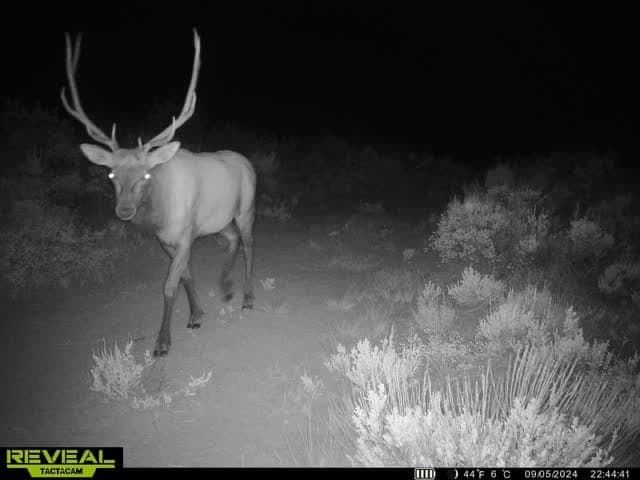 Cow Creek Ranch in Rifle, Colorado - photo 71