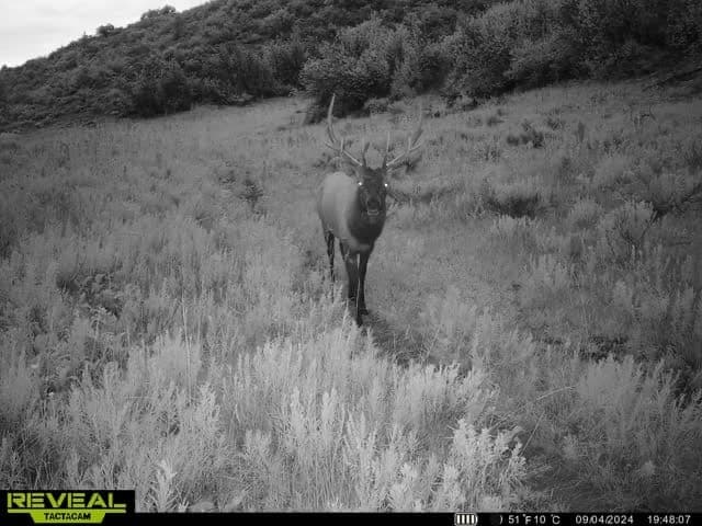Cow Creek Ranch in Rifle, Colorado - photo 72