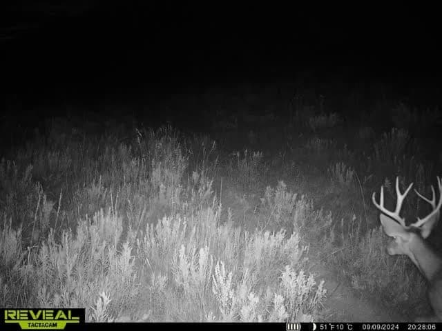 Cow Creek Ranch in Rifle, Colorado - photo 73
