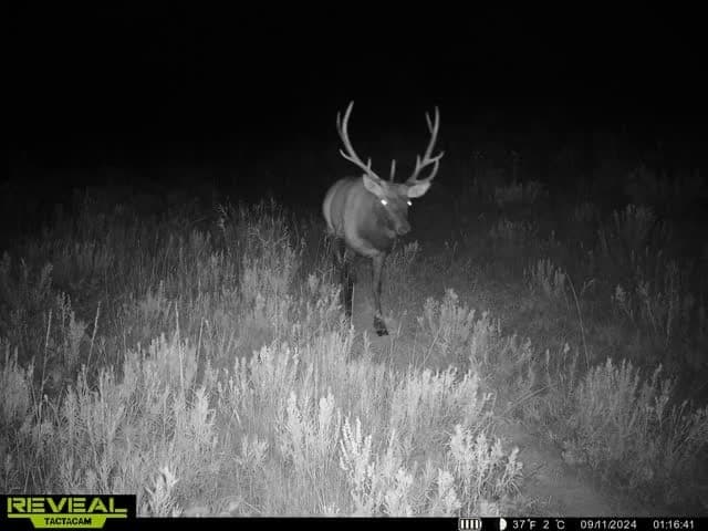 Cow Creek Ranch in Rifle, Colorado - photo 74