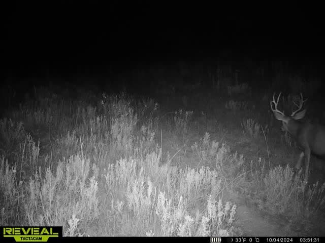 Cow Creek Ranch in Rifle, Colorado - photo 75