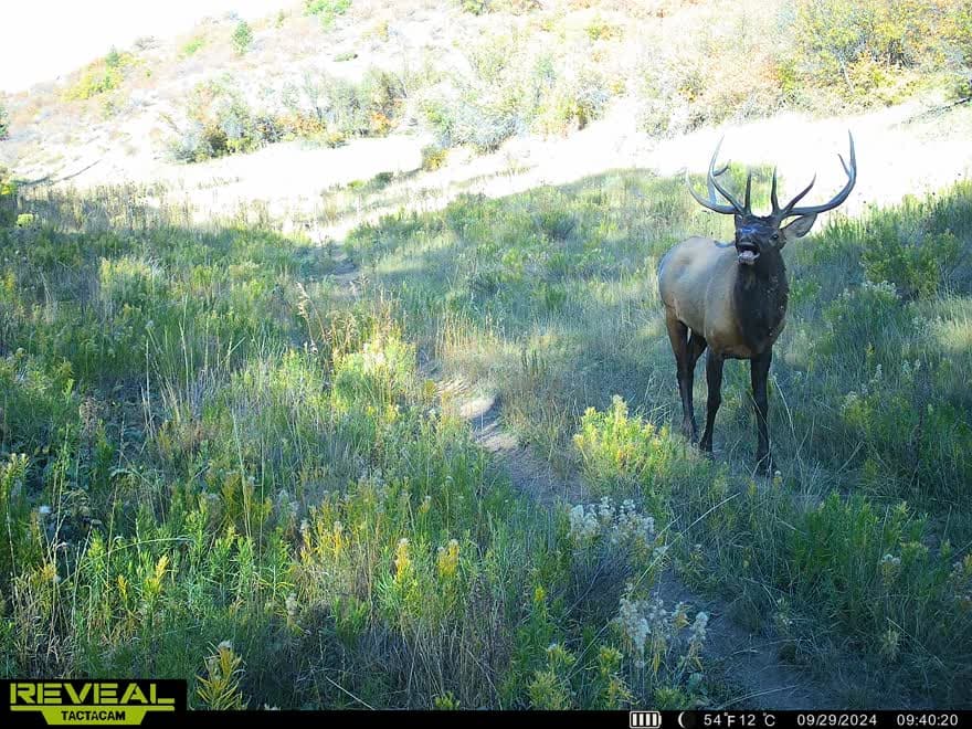 Cow Creek Ranch in Rifle, Colorado - photo 76