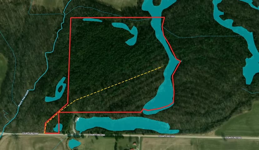 Land For Sale in Clay County, IN 46 Acres +/-