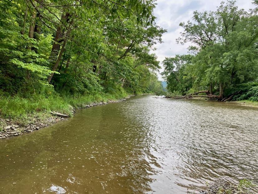 2.49 acres Waterfront Land on the Tioughnioga River for Great Fishing in Barker NY 7345 NY-79