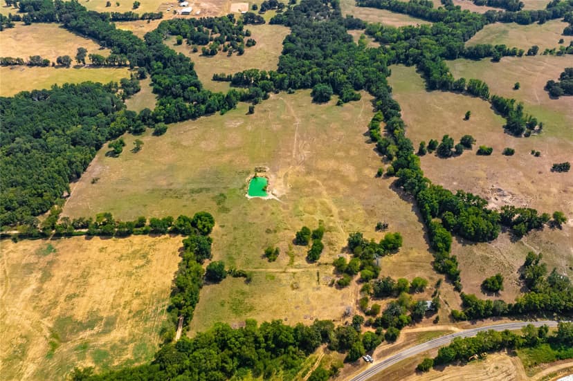 Scenic 87 acres with rolling hills, part-wooded, & pond!