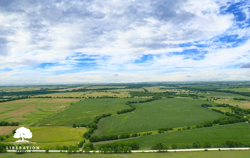 HILLSBORO Tract 1 | 12+ Acres | Only $15K Down