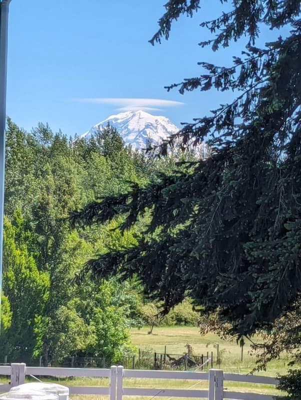 Farm House on 5 Acres