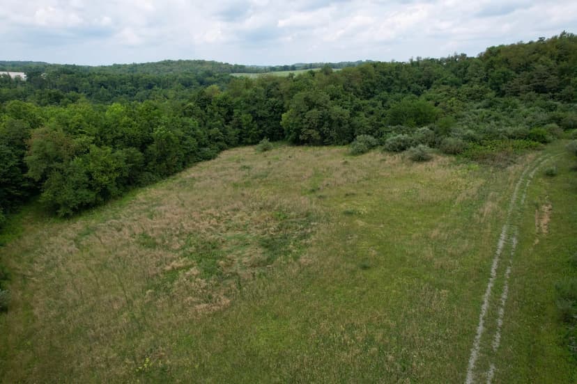 Mays Ln., Westmoreland County - 160+/- acres
