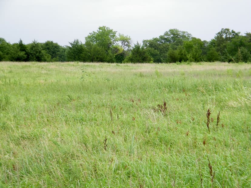 20 Acre Pasture or Homesite