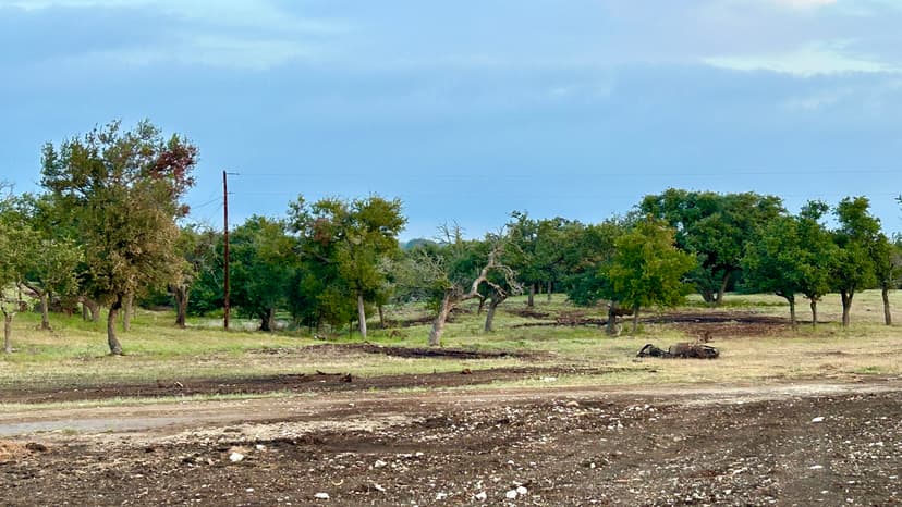 Sunrise Ridge Estates - Lot 10 Phase 1 - Lampasas, X