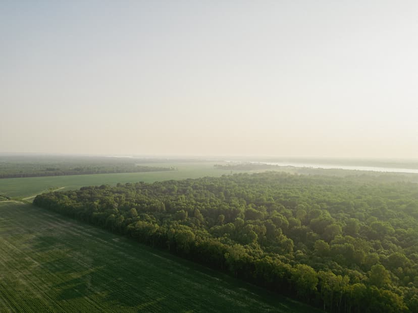 136 Acres in Warren County, MS