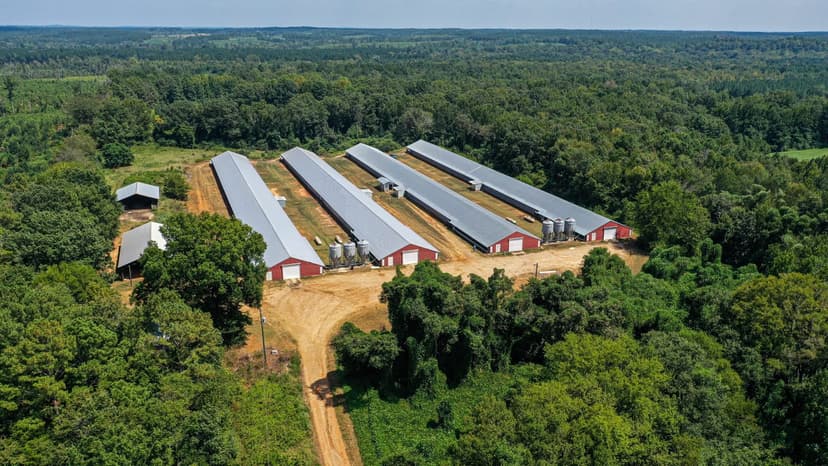 Decatur Broiler Farm