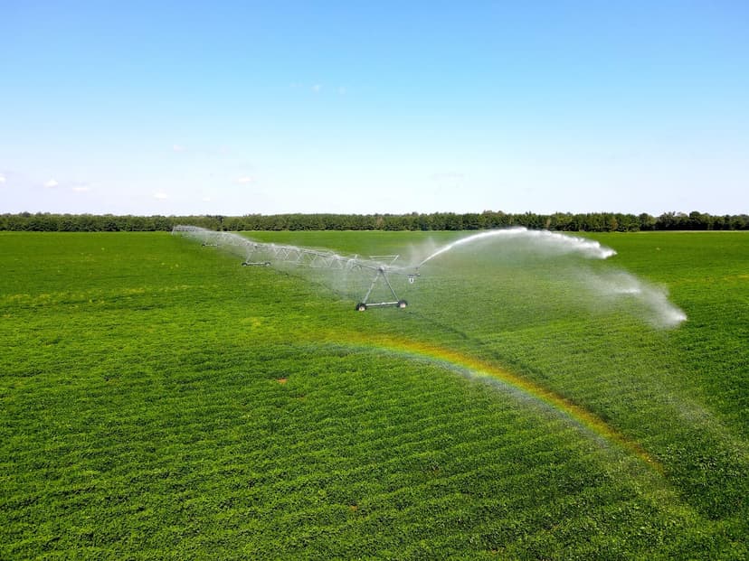 Irrigated Farm Land & Loblolly Pines - 533 Acres