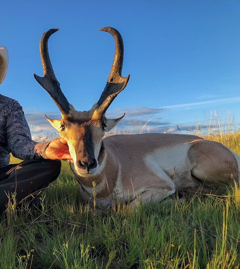 X Spear Elk & Cattle Ranch