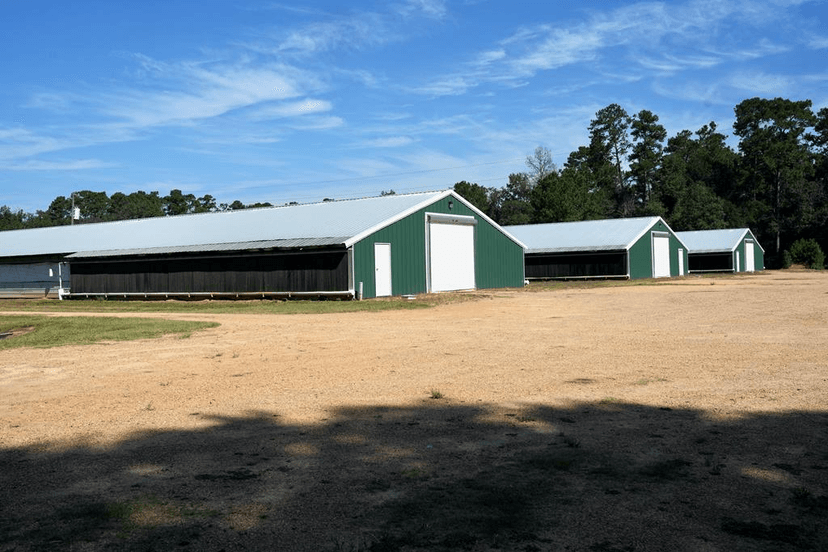 MS Poultry Broiler Farm with House and Tractor Equipment