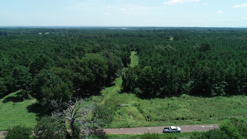 Tree covered acreage in Anderson Cty on paved road! (Tract 3)