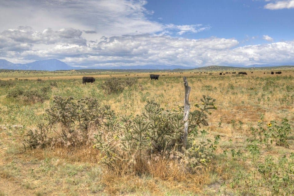 TBD Airport Rd, Walsenburg in Walsenburg, Colorado - photo 23
