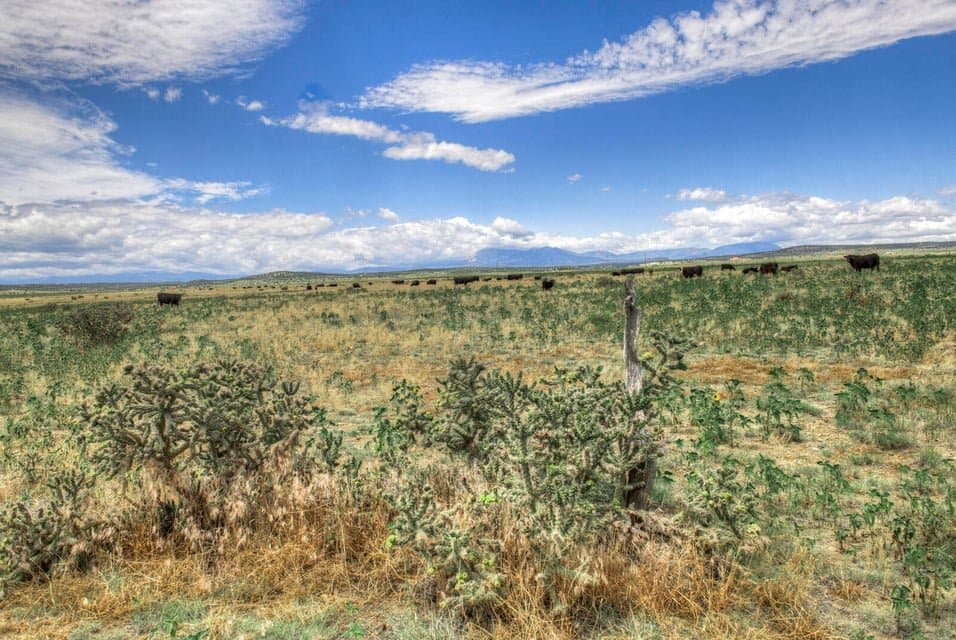 TBD Airport Rd, Walsenburg in Walsenburg, Colorado - photo 19