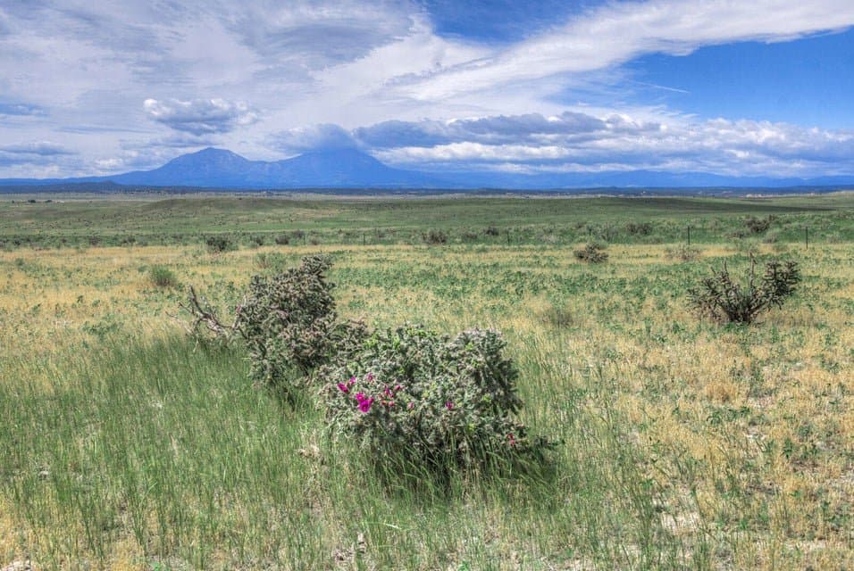 TBD Airport Rd, Walsenburg in Walsenburg, Colorado - photo 18