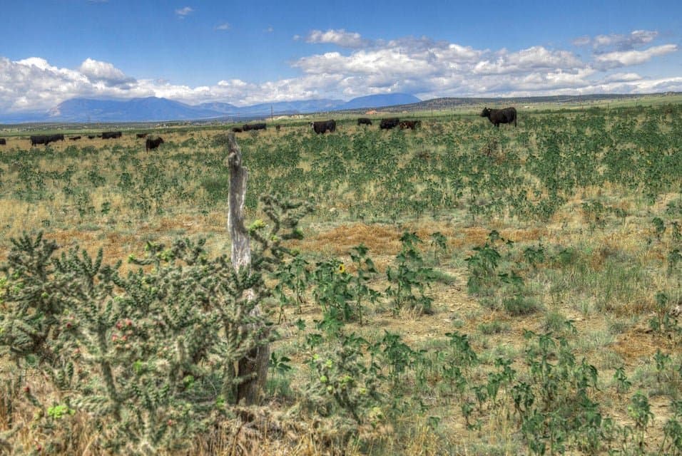 TBD Airport Rd, Walsenburg in Walsenburg, Colorado - photo 22