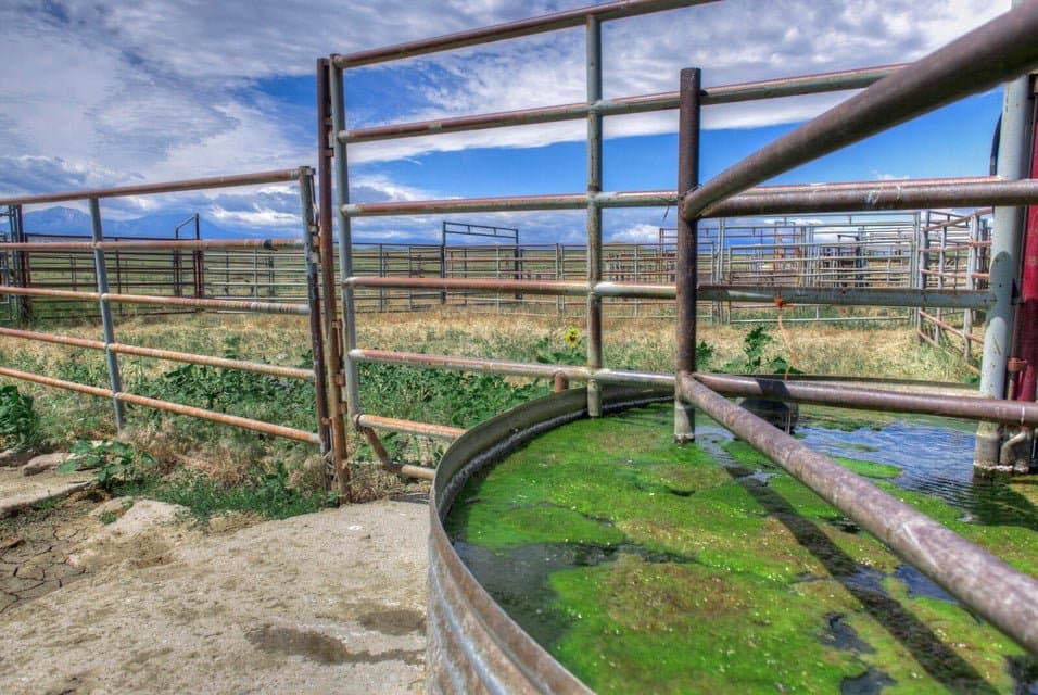 TBD Airport Rd, Walsenburg in Walsenburg, Colorado - photo 15