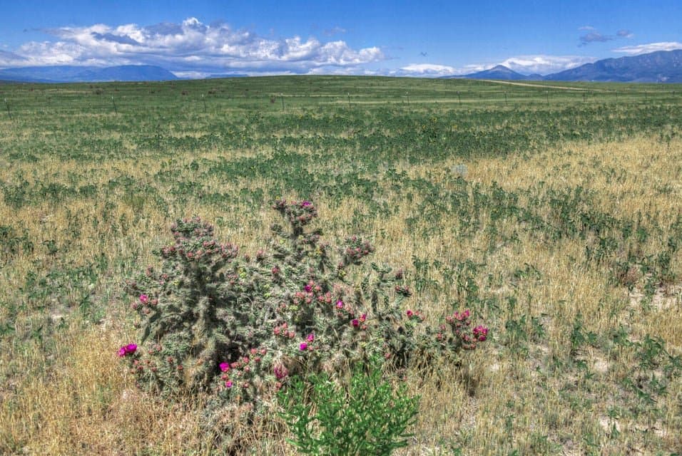 TBD Airport Rd, Walsenburg in Walsenburg, Colorado - photo 9