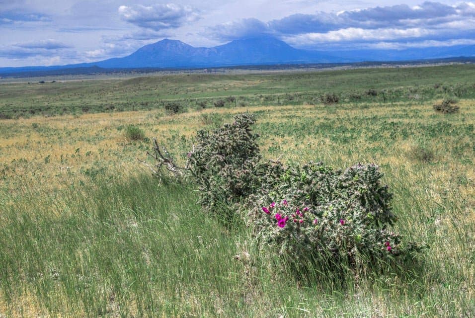 TBD Airport Rd, Walsenburg in Walsenburg, Colorado - photo 12