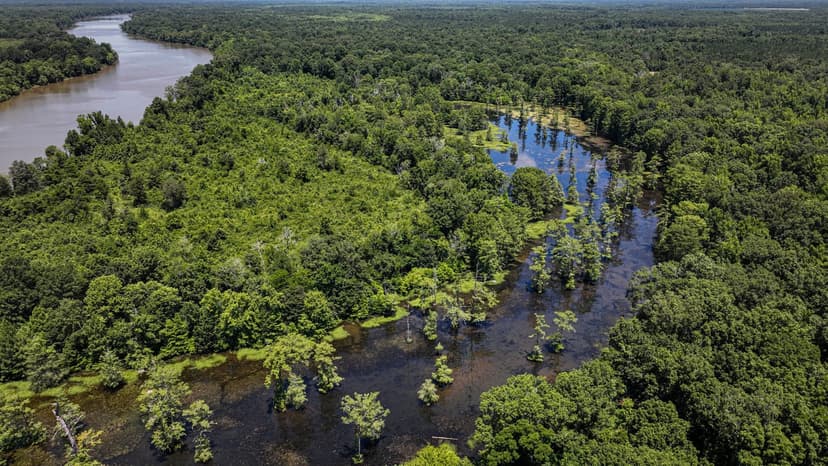 Lowndes County - Hairston Bend Hunting and Fish Club
