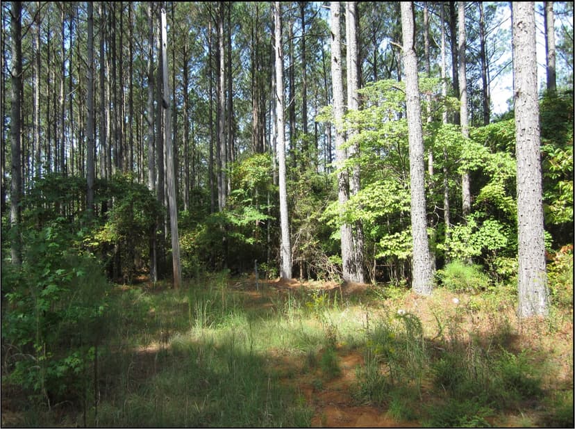 The Woodlands-River Trace Lot 31 in Tishomingo County in Iuka, MS