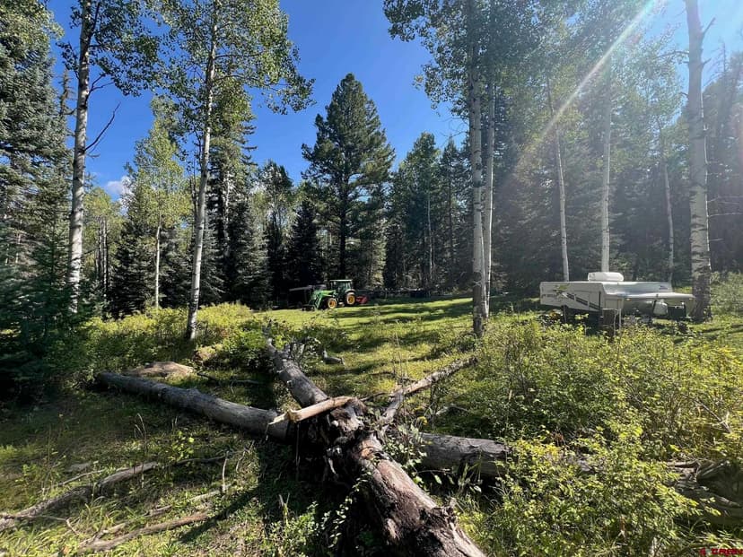 2528 Needles View Place (817885)