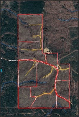213 Acres in Webster County in Mantee, MS