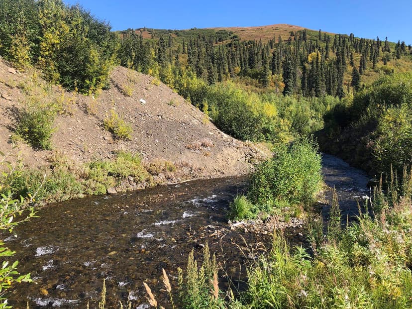 Marvel Creek Gold Mine