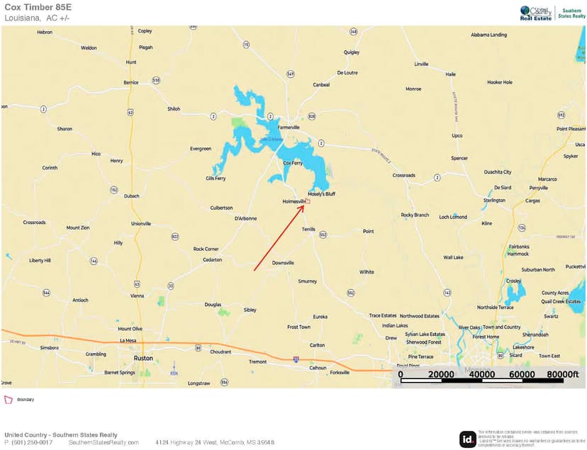 Downsville 85 - Union Parish Timberland for Sale