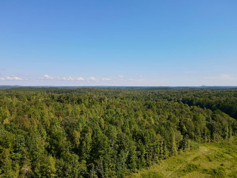 71 +/- acres Alex City