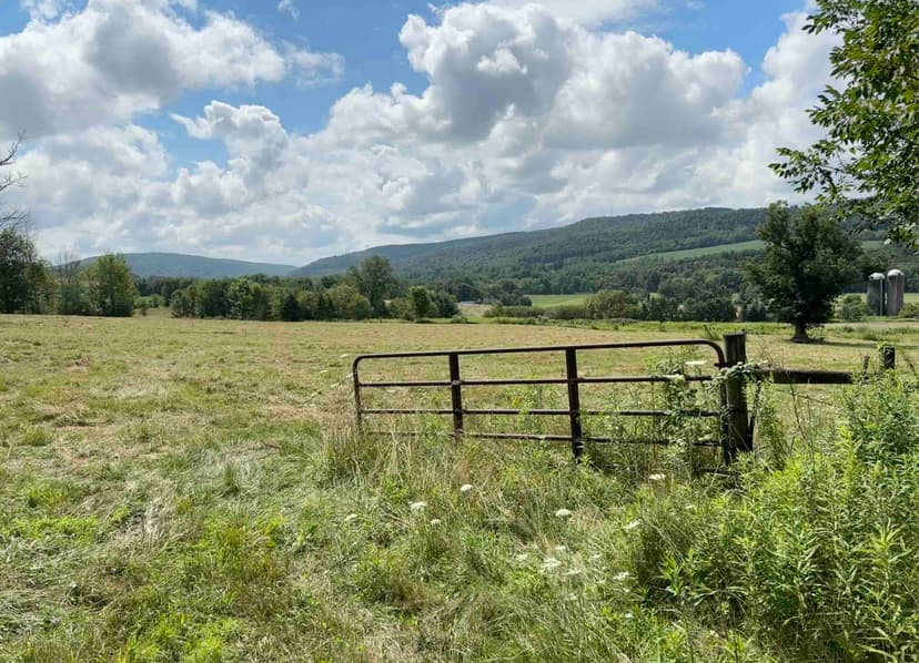 130 acre Former Beef Cattle Ranch with Fields and Pastures on the Tioughnioga River in Whitney Point NY 7800 NY-79