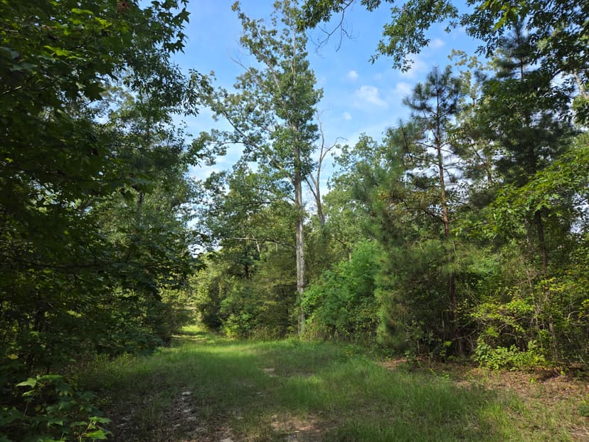 LA - Ouachita 16 acres +/-