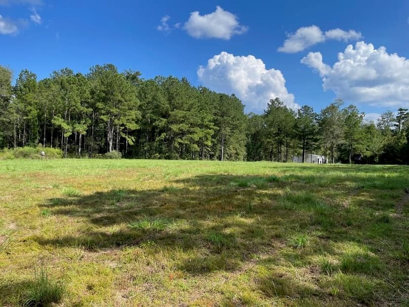 Turn Key 85 Acres in Sandy Hook, MS