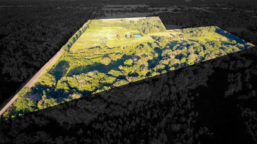 Recreational Hunting Land For Auction Winnsboro TX