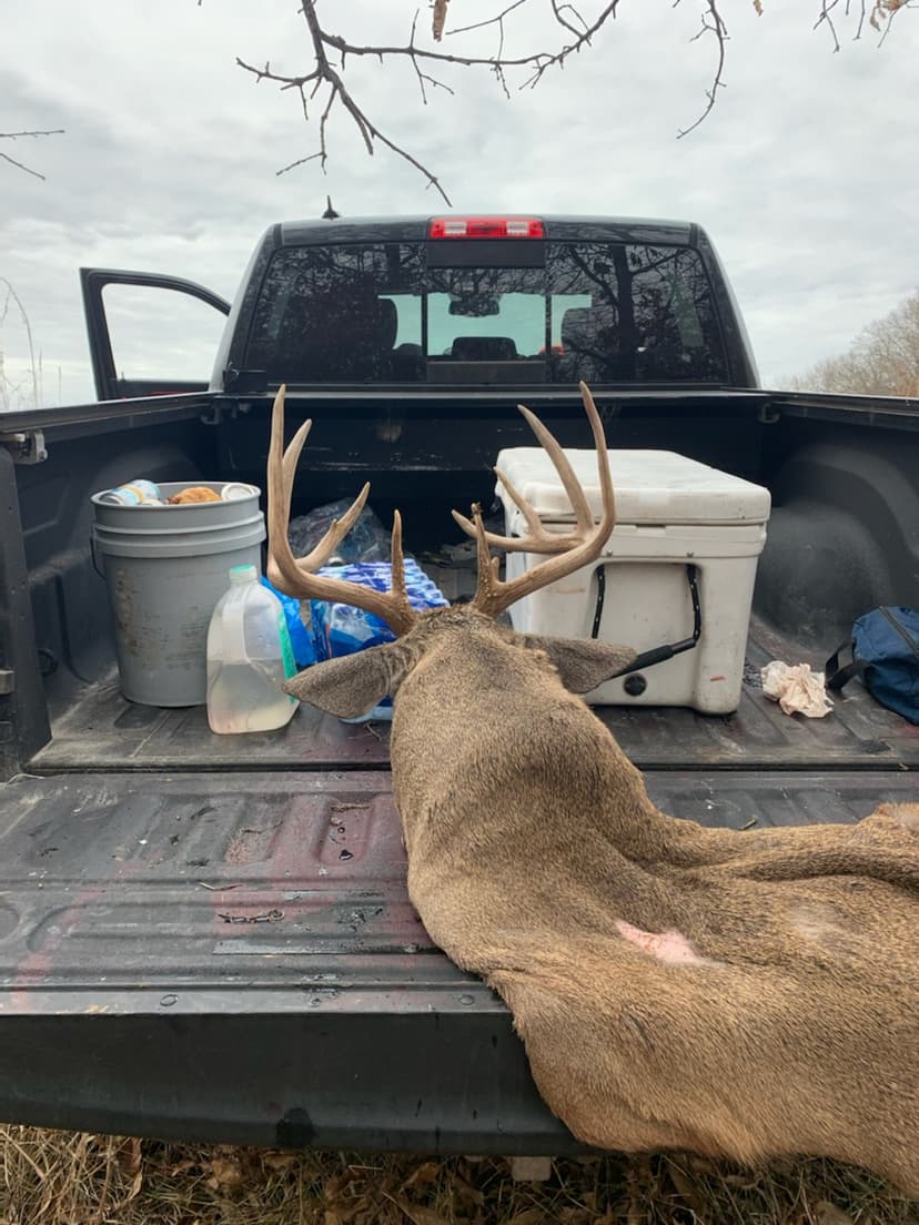 County Road 1117, Madison, MO