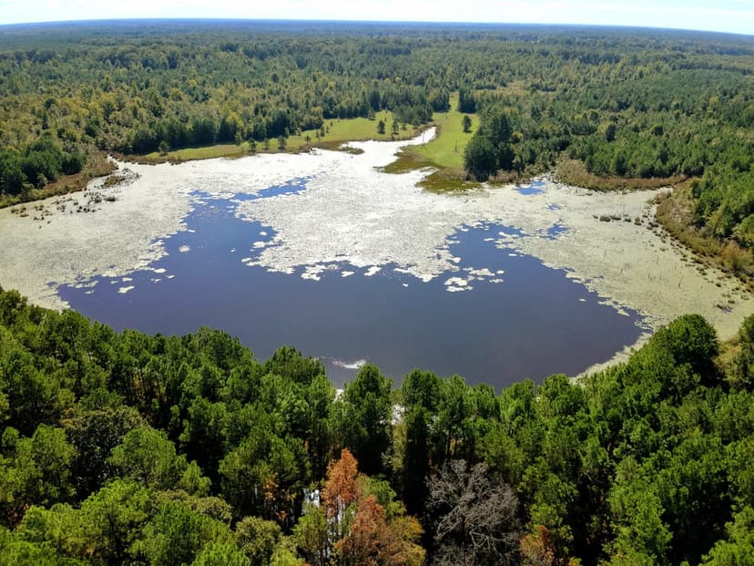 80 Acres - Drew County - Midway Route Monticello, AR