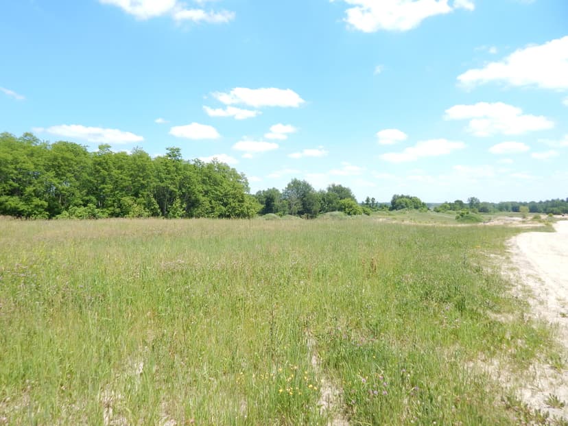 9340-1 Sparta Avenue NW, Sparta, MI, 49345