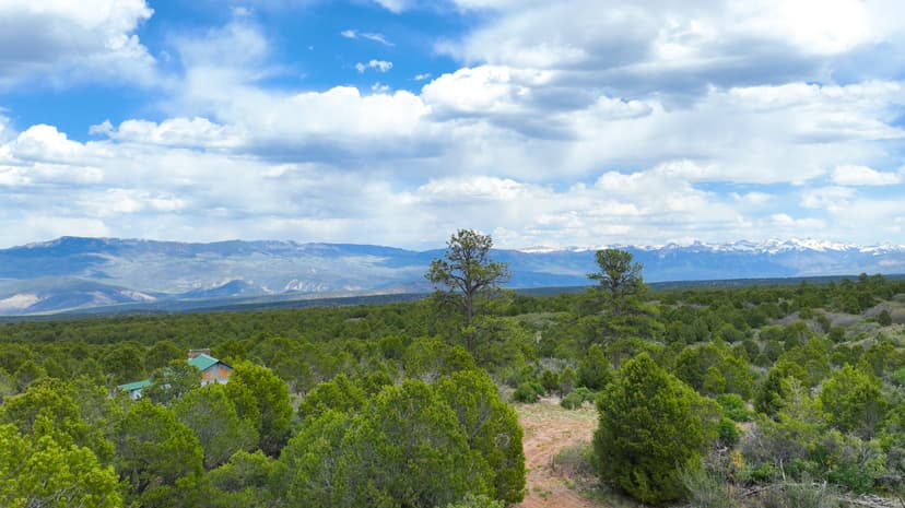 38+ Acres Bordering BLM and Near Cornerstone Golf