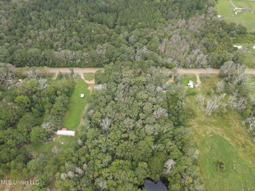 3 Acre Lot in Forest, MS